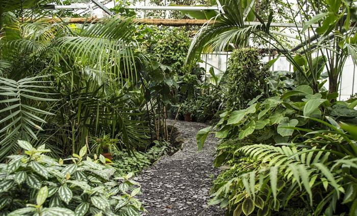 Treborth Botanic Garden